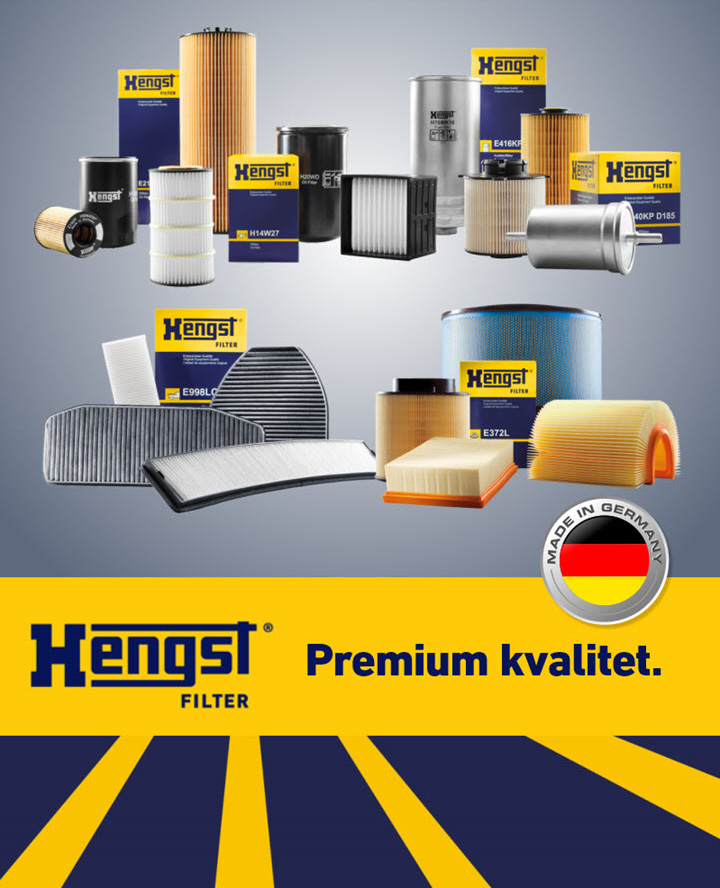 HENGST za web